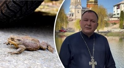 Чи справді поява жаби на порозі віщує смерть - священник розкрив правду
