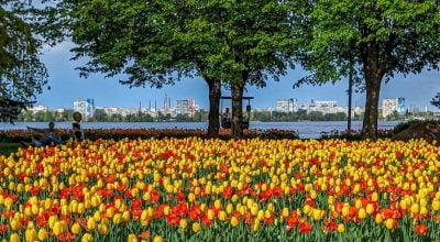 Весна набирає обертів: до яких цифр стрибне температура у Дніпрі та області