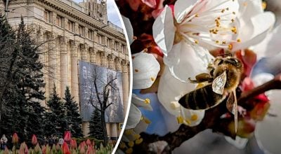 Яка погода буде в Харкові найближчими днями