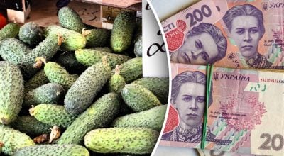 В Україні обвалилися ціни на огірки: скільки зараз коштує овоч