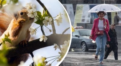 Похолодання та гроза сунуть на Житомирщину: коли погода різко зміниться