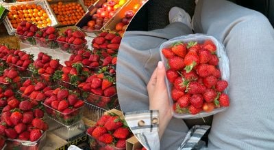Як обирати найсолодшу полуницю: фермери розкрили, на що дивитися при покупці