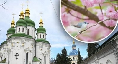 Чому 10 травня не можна копати та орати: яке церковне свято
