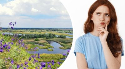 Ніякий не "шалфей": як правильно назвати рослину українською