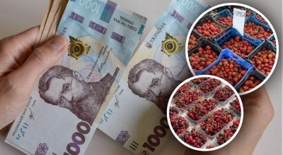 В Україні майже на третину впали ціни на популярну ягоду - скільки коштує
