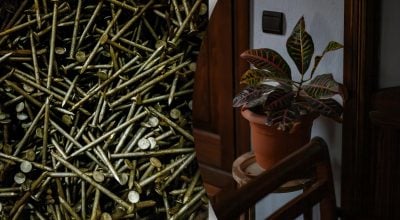 Лайфхак советских времен: зачем втыкать обычный гвоздь в цветочный горшок