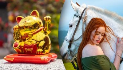 Китайський гороскоп на завтра, 17 травня: Коням — зустрічі, Бикам — негаразди