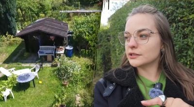 В Германии садовые участки часто подчиняются строгим правилам кооперативов