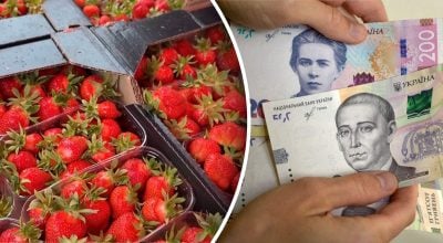 Цены взлетели почти на 33% за день: в Украине резко подорожала одна ягода