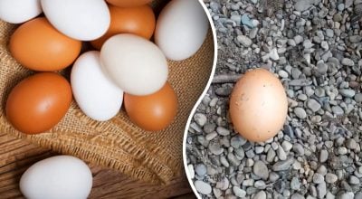 Не випадковість: що означає куряче яйце біля дверей і як його прибрати
