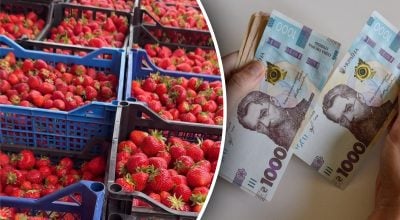 Цінни впали нижче 200 гривень: в Україні стрімко дешевшає популярна ягода