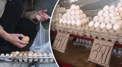 В Україні можуть знову подорожчати яйця: економіст пояснив, що відбувається