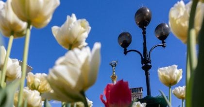 В Україні різко пригріє, але ненадовго: названо дату нового похолодання