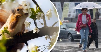 Похолодання та гроза сунуть на Житомирщину: коли погода різко зміниться