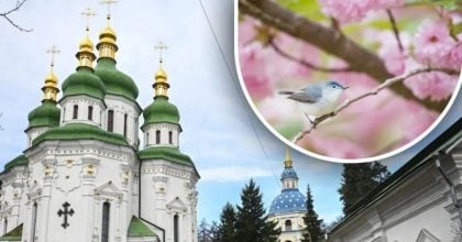 Чому 10 травня не можна копати та орати: яке церковне свято