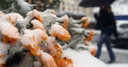 Випаде сніг, а температура впаде до -2: Україну накриє хвиля холоднечі