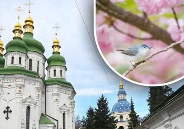 Почему 10 мая нельзя копать и пахать: какой церковный праздник