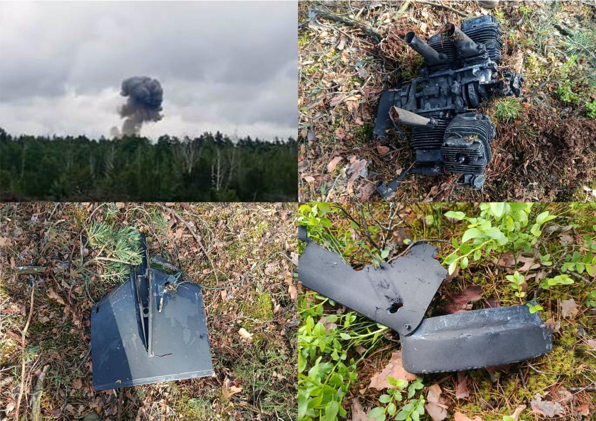 В Житомирской области пограничники сбили 
