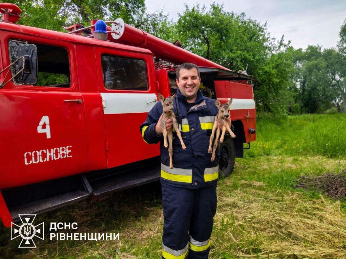 На Рівненщині пожежники врятували двох оленят із вогняної пастки