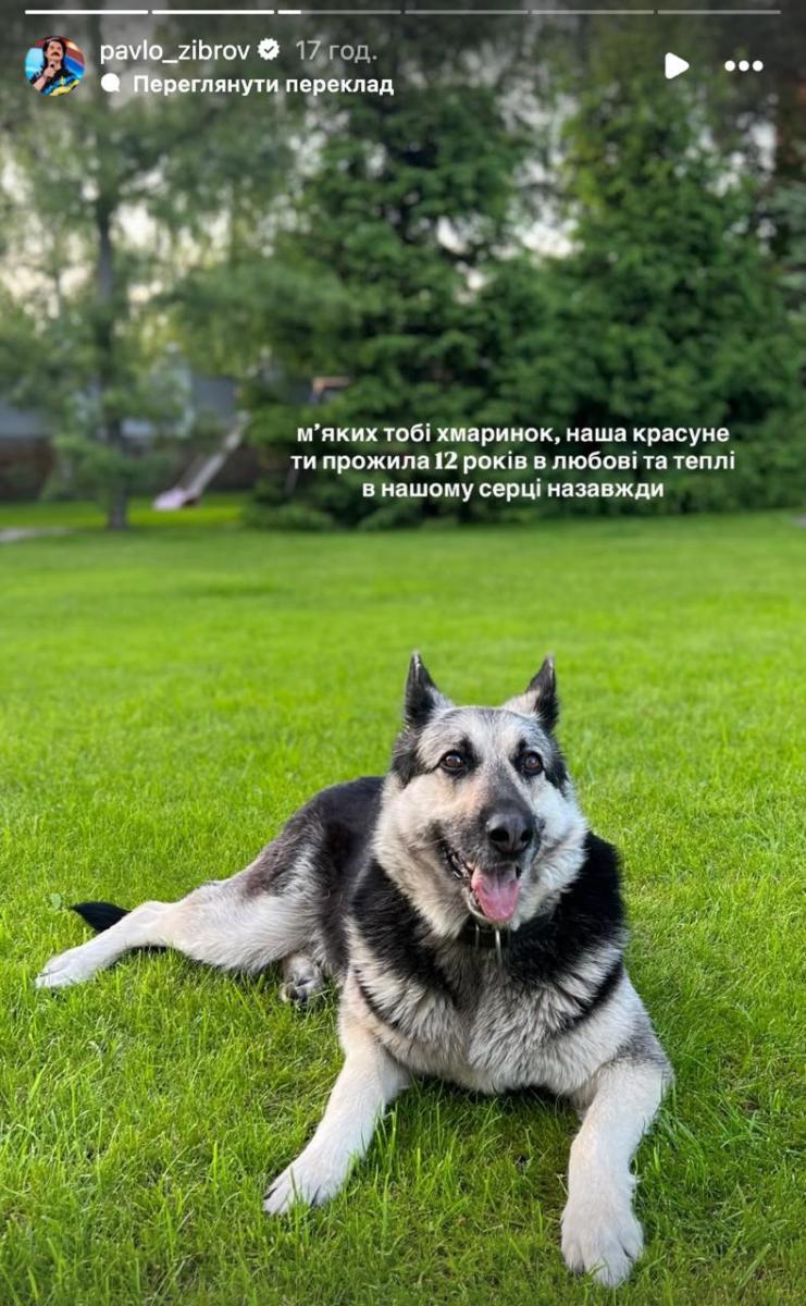 Собака Павла Зіброва