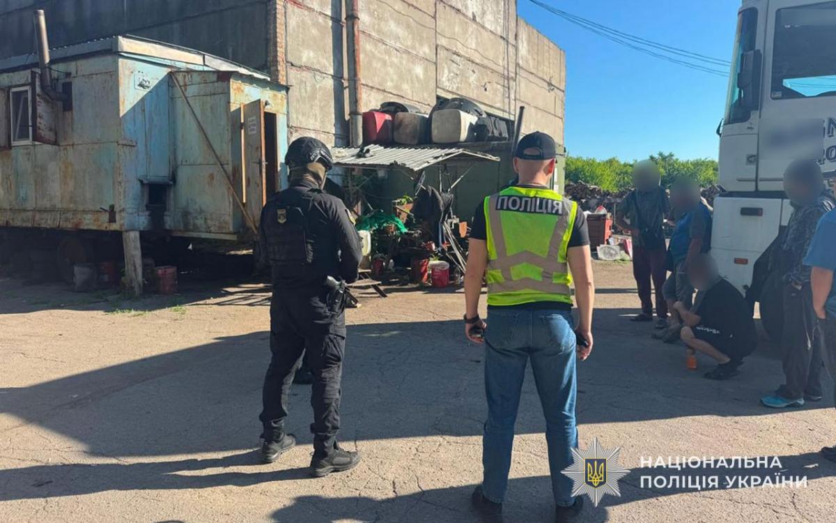 В Тернопольской области раскрыли схему хищения средств на древесине В Тернопольской области раскрыли схему хищения средств на древесине