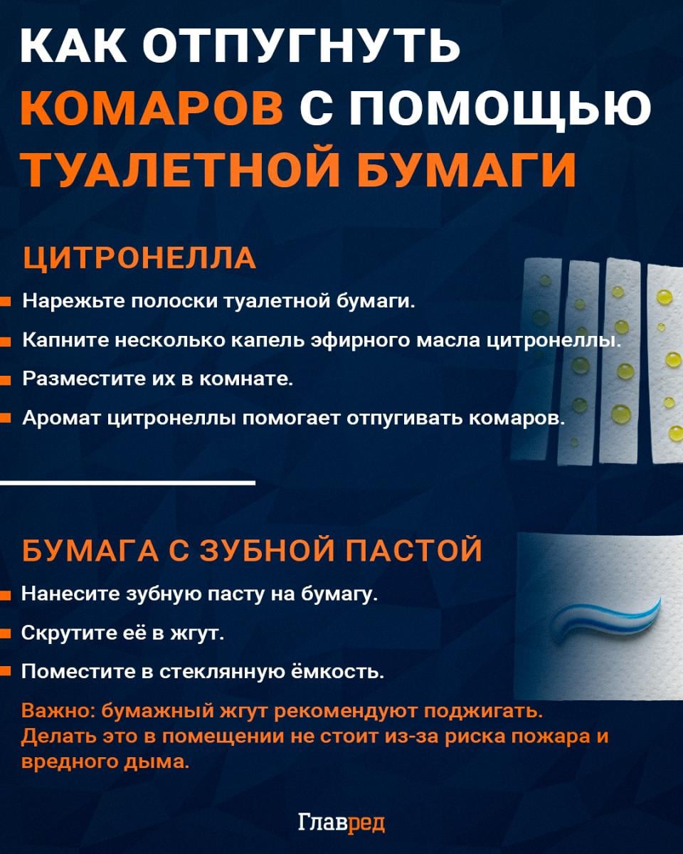 Как отпугнуть комаров с помощью туалетной бумаги Как отпугнуть комаров с помощью туалетной бумаги