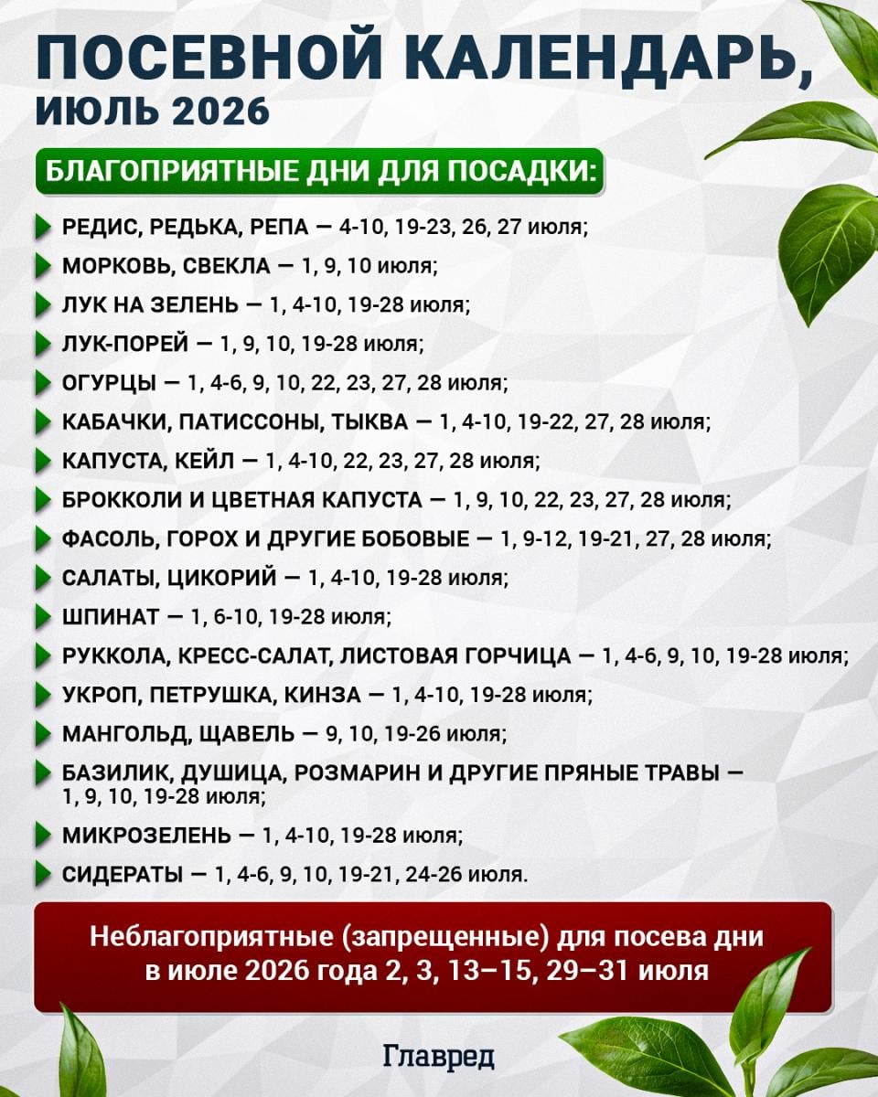 Посевной календарь на июль 2026