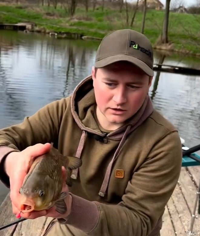Карась залишається одним із найстійкіших мешканців водойм навіть у сильну спеку