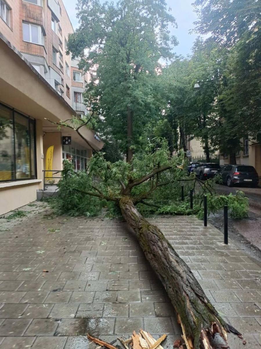 Негода у Львові 29 червня