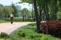 Будет почти +30: в какие регионы придет жаркая погода