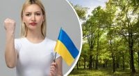 В Україні нема ніяких ясєнєй, тополєй і ів: як називати дерева українською правильно