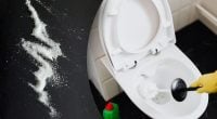 Зачем сыпать соль в унитаз: хитрость, которая решит распространенную проблему