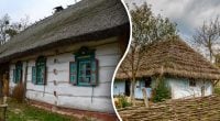 Не українське і не російське: яке походження та приховане значення слова хата
