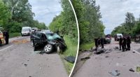 На Львівщині сталася смертельна автотроща: серед постраждалих - діти