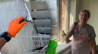 Хозяйки нашли способ отбелить оконные рамы за считанные минуты