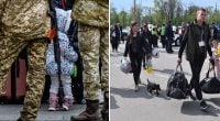 Біженцям з України можуть обмежити в’їзд до ЄС: кого торкнеться посилення правил