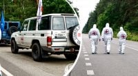 Тела 522 погибших защитников вернули в Украину — детали