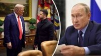 "Трамп согласился": Зеленский раскрыл новые детали переговоров о прекращении войны