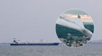 Россия атаковала гражданские судна в Черном море: есть погибший и раненые