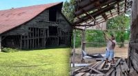 Старый сарай превратили в роскошный особняк с секретной комнатой