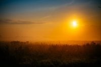 Дощів майже не буде: Україну атакує сильна спека - прогноз