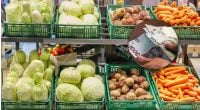 Ціни на популярні овочі злетіли майже удвічі: що подорожчало найбільше