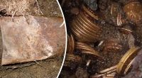 Случайная находка сделала супругов миллионерами: история клада в Калифорнии