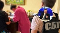 Ексміністра часів Януковича викрили на масштабній схемі: що відомо
