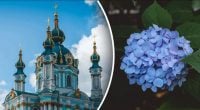 Почему 26 июня нельзя брать или давать деньги взаймы: какой церковный праздник