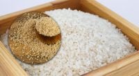 Какой рис лучше покупать - белый или коричневый: разница огромна