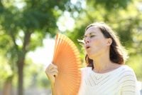 Україну накриє хвиля аномальної спеки: коли розжарить до +38