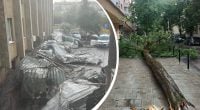 Блискавка влучила у 6-річну дівчинку: що відомо про наслідки негоди у Львові