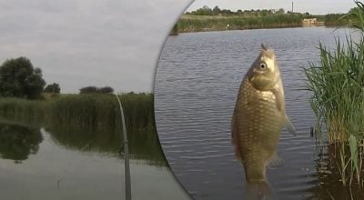 Риба сама проситиметься на гачок: найкращі дні для риболовлі у червні 2026