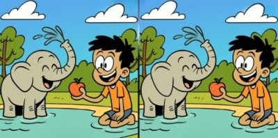 Тест на IQ: нужно найти 3 отличия на картинке мальчика со слоненком за 39 с